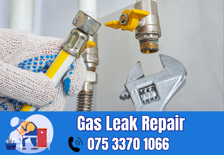 gas leak repair Margate