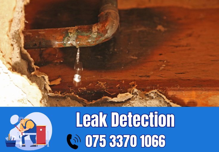 leak detection Margate