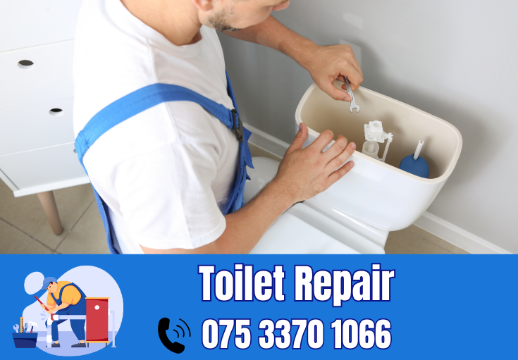 toilet repair Margate